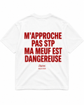 NE M'APPROCHE PAS MA MEUF EST DANGEREUSE