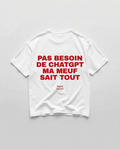 PAS BESOIN DE CHATGPT MA MEUF SAIS TOUT