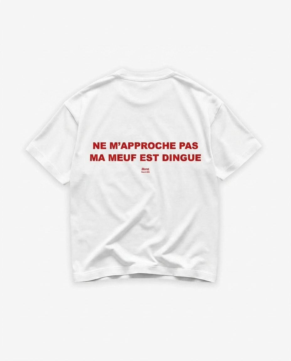 NE M'APPROCHE PAS MA MEUF EST DINGUE